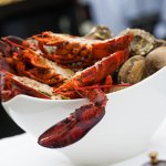 Gastronomie als uitgangspunt! afbeelding 2