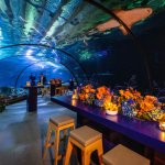 Zakelijk afbeelding 1